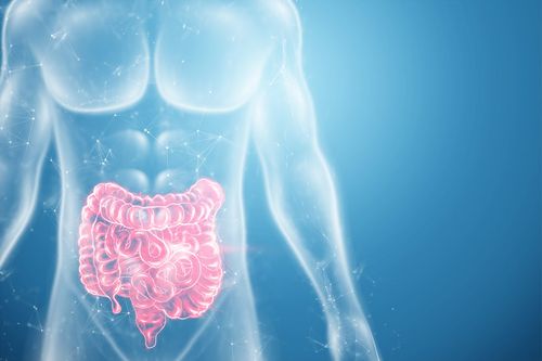 Especialização em Doenças Inflamatórias Intestinais