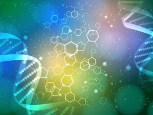 Biologia Molecular: Eletroforese Capilar para Sequenciamento de Sanger e Análise de Fragmentos