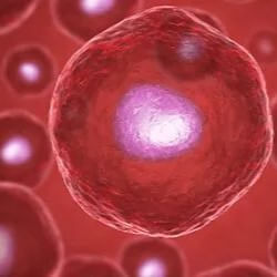 Amélioration de la cytométrie en flux