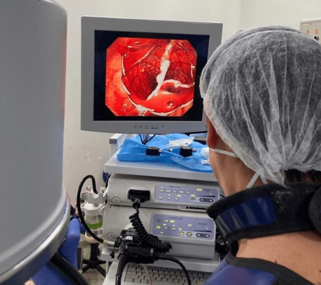 hands-on-tecnicas-cirurgicas-endoscopicas