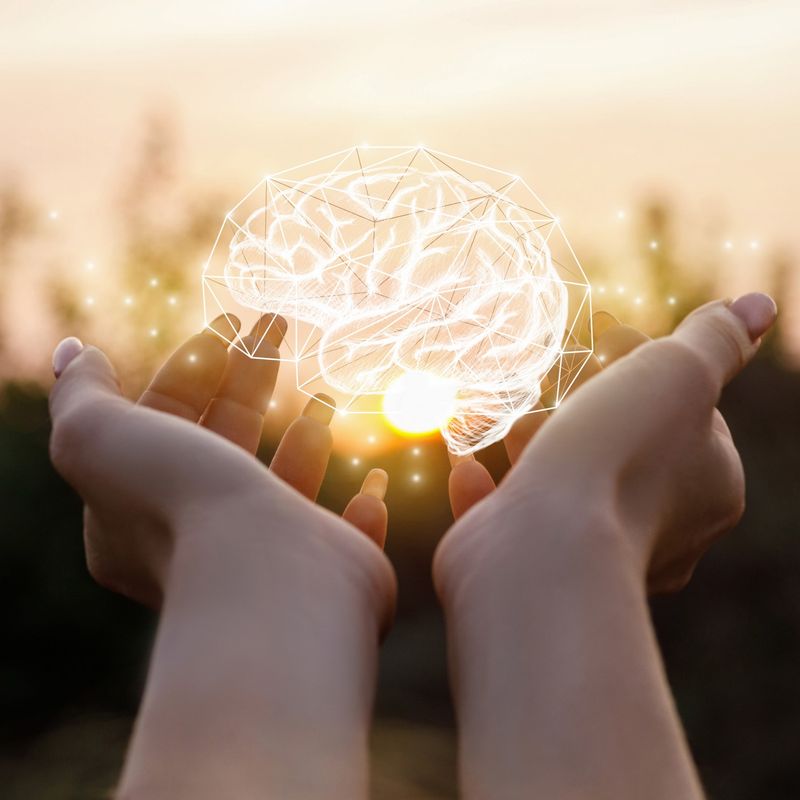 Imagem---Terapia-Ocupacional-em-Saude-Mental