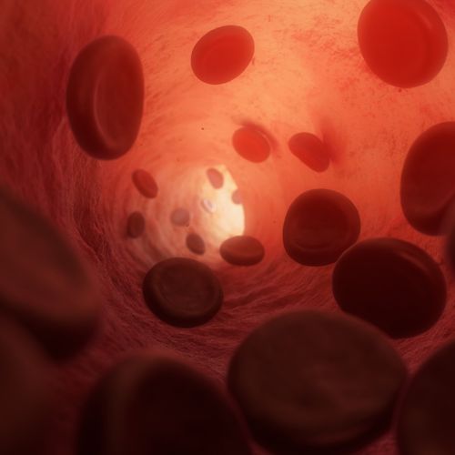 Therapeutic Apheresis Update - Payment