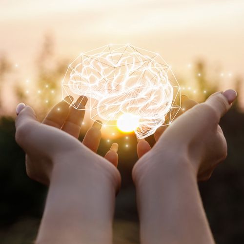 Occupational Therapy Specialization in Functional Cognitive Rehabilitation