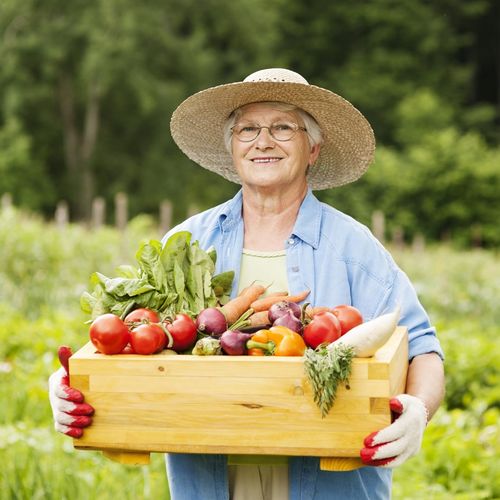 Especialização em Nutrição em Gerontologia - Pagamento