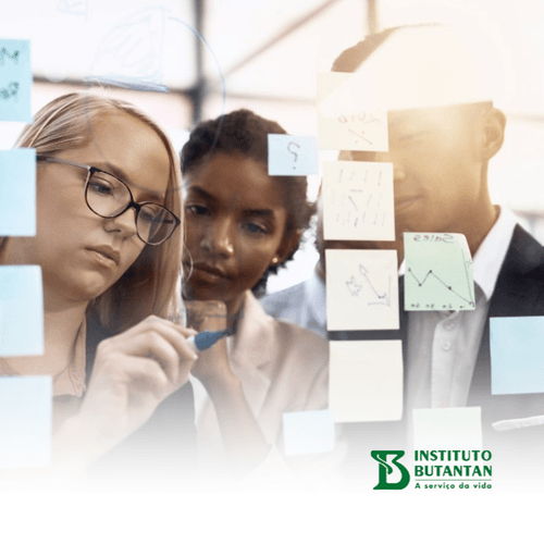 MBA em Gestão da Inovação em Saúde – EAD