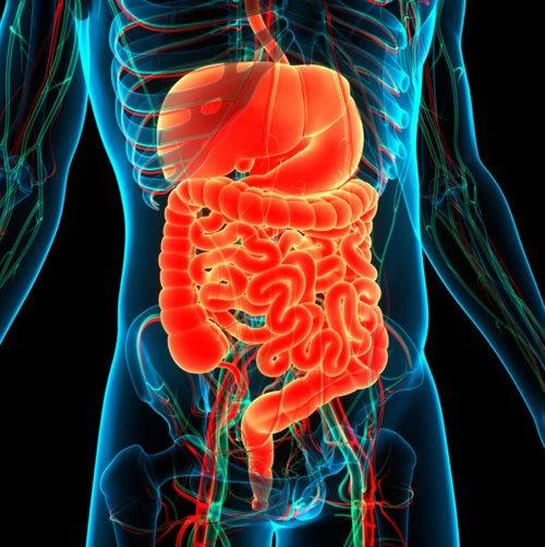 Curso de Imersão em Cirurgia do Aparelho Digestivo