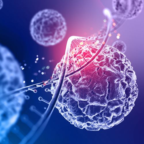 Citometria de Fluxo e Biologia Molecular em Câncer