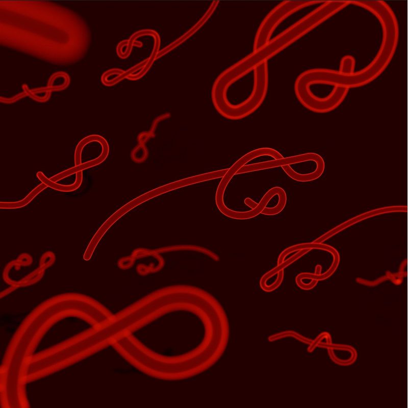 parasitologia