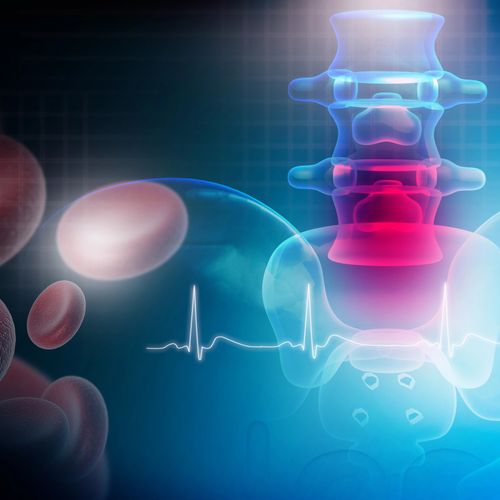 Workshop on Relevant Topics in Long-Term Follow-Up of Hematopoietic Stem Cell Transplantation