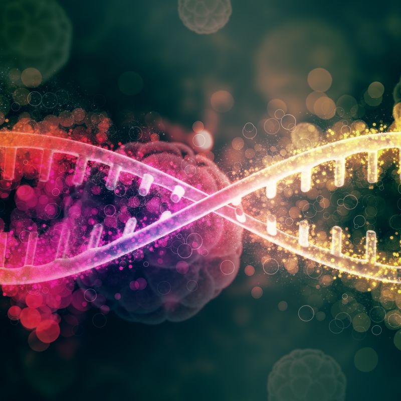 genes supressores do cancer