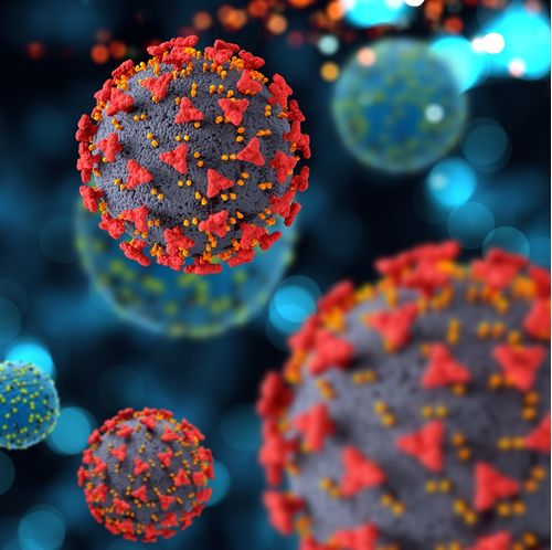 Research in Pathology of Infectious Diseases - Scholarship programs for Lato-Sensu Specialization courses