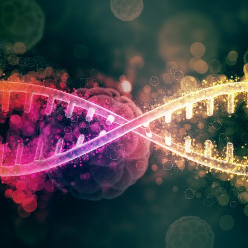 Oncogènes et gènes suppresseurs de cancer - Programmes de bourses pour les cours de spécialisation Lato-Sensu