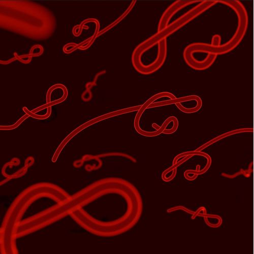 Parasitologie médicale - Programmes de bourses pour les cours de spécialisation Lato-Sensu