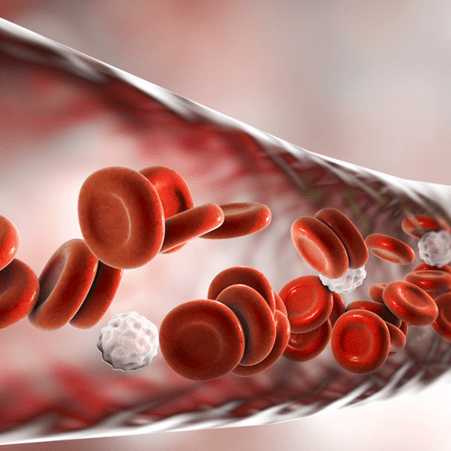 Programa HPN 360 - Roche