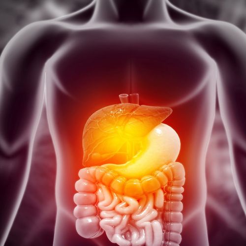Digestive Motility Training Course – High Resolution Manometry