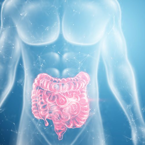 Spécialisation en maladies inflammatoires chroniques de l'intestin - Paiement