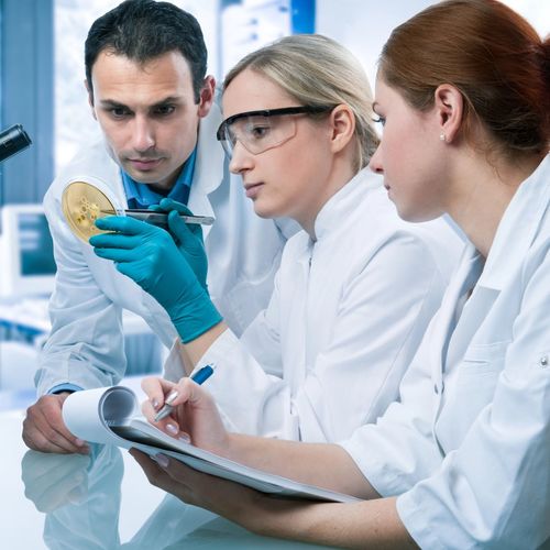 Pathologie clinique - Programmes de bourses pour les cours de spécialisation Lato-Sensu