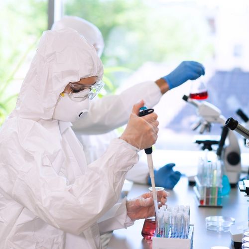 Biossegurança em Organismos Geneticamente Modificados