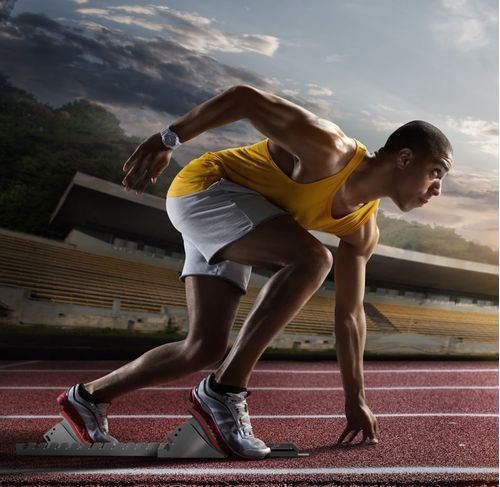 Especialización en Fisioterapia en el Deporte y el Ejercicio